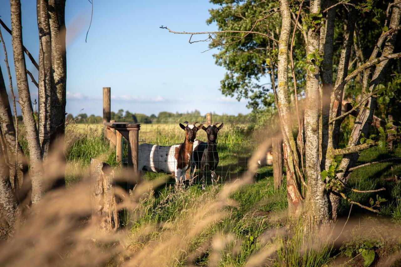 Oudewater Ruyge Weyde Logies - The Farmers Daughter 빌라 외부 사진